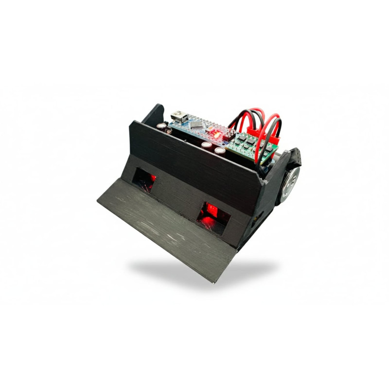 Mini Sumo Robot
